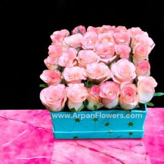 Pink Roses in a Velvet Box