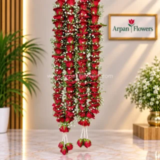 Red Rose With Zipso Flower Varmala