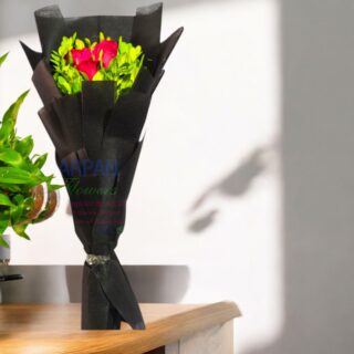 Red Rose With Black Paper