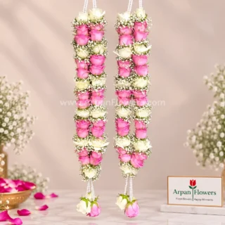 Pink & White Rose Varmala With Gypsum