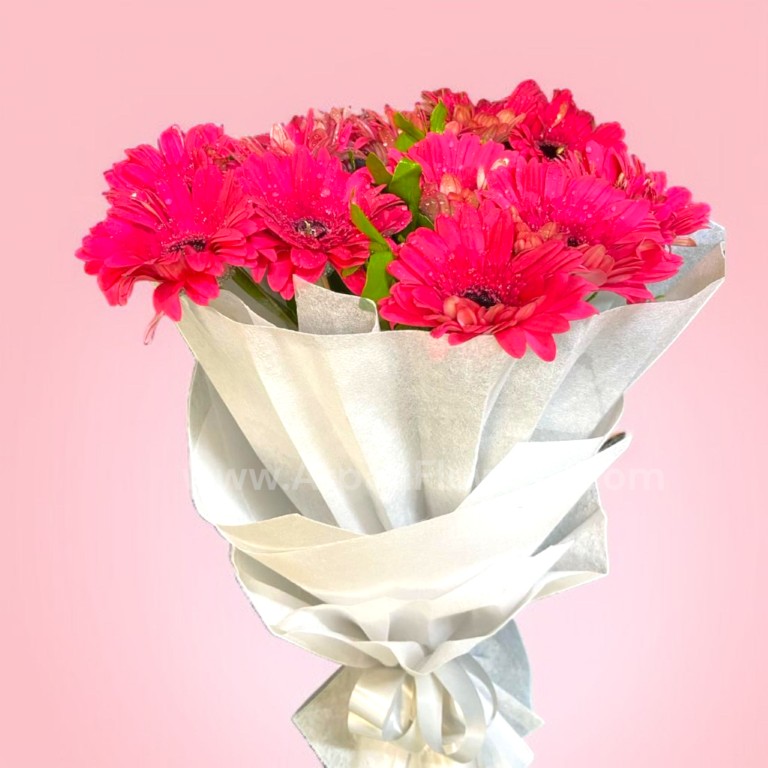 Pink Gerbera Hand Bouquet 2 Red Rose With Gypsum Bouquet