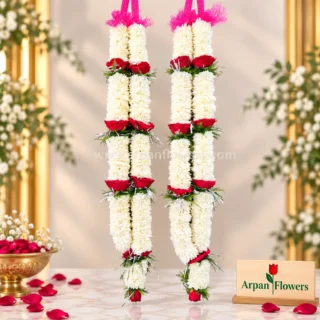 Rose And Seventi Varmala
