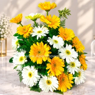 20 Mix Gerbera Arrange in Basket
