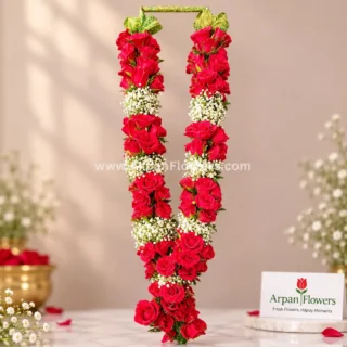Red rose & gypsum Varmala