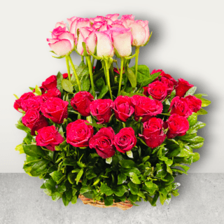 Red and Pink Rose in a Basket