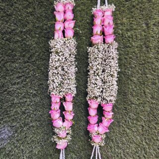 Light Pink and Baby's Breath