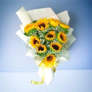 10 Sunflowers With White paper