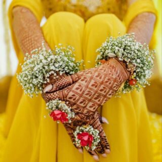 Baby's Breath Real Flowers Kalira