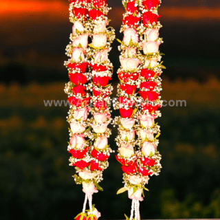 Jumeliya Pink & Red Rose Varmala with Baby's Breath
