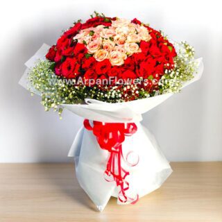 Home 42 100 Mix Rose Bouquet with Baby's Breath