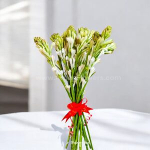 Sinple Rajnigandha Bouquet 4 IMG2024110616325628129
