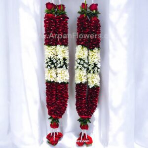 IMG2025112219005928129