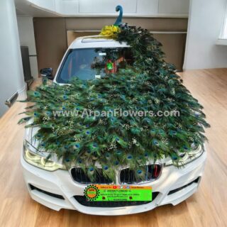 Peacock Car Decoration