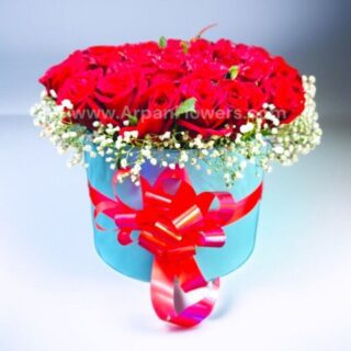 50 Rose in Box With Baby's Breath