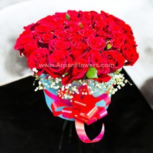 50 Rose in Box With Baby's Breath 14 50 Rose in Box With Baby's Breath