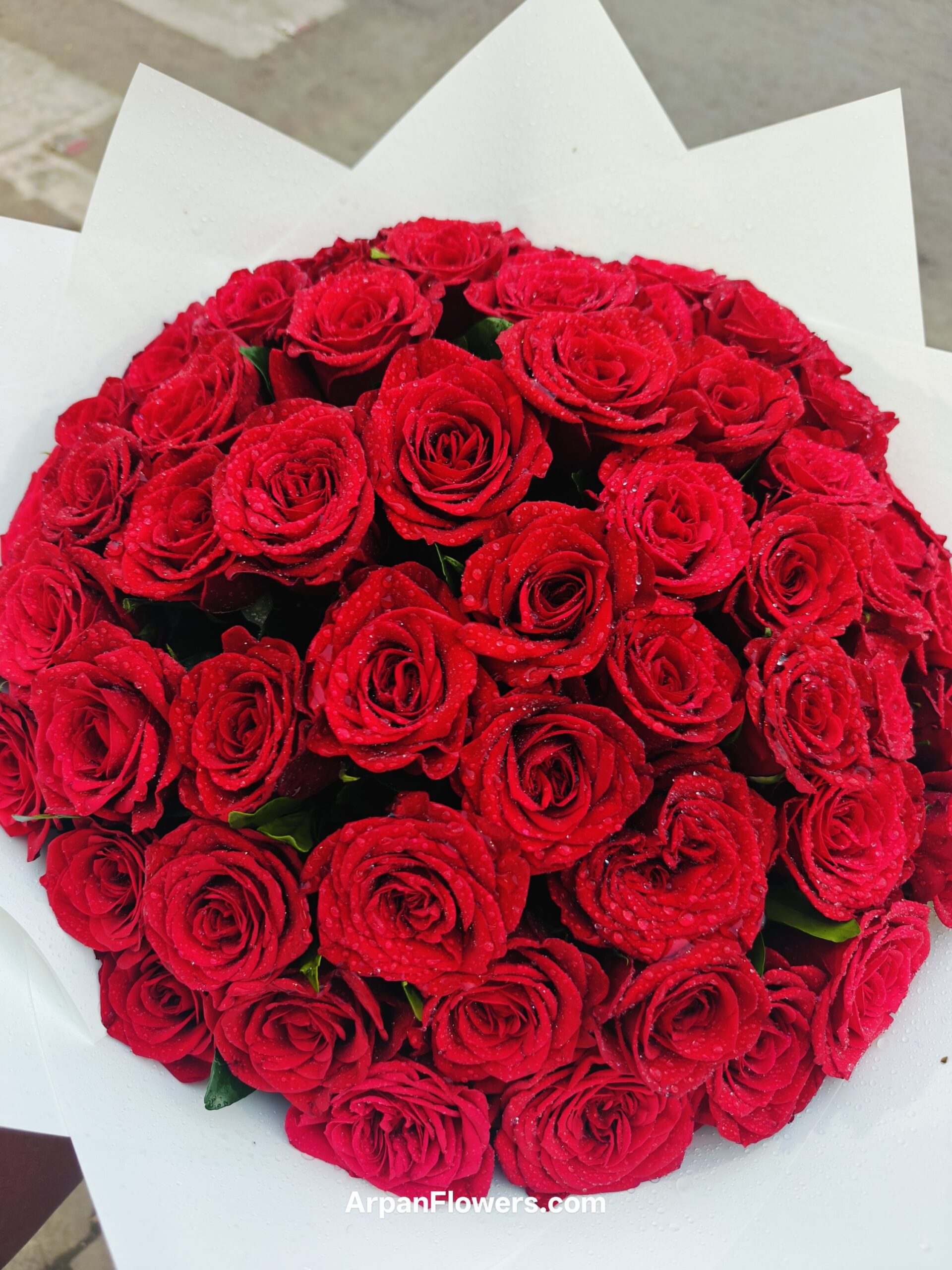 60 Red Bouquet with White Paper 3 60 Red Bouquet with White Paper - Image 3