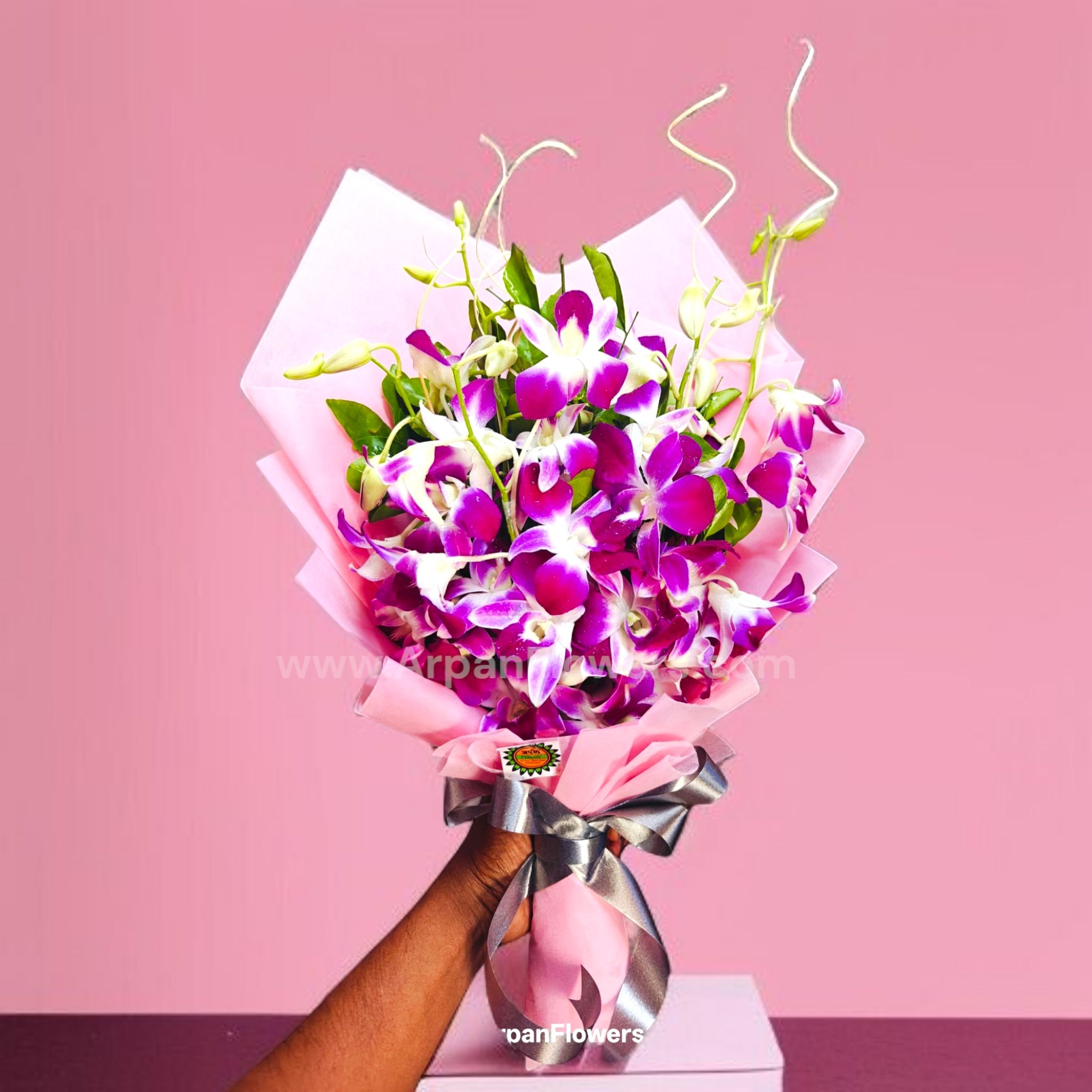 Purple orchid in pink Paper 1 Purple orchid in pink Paper