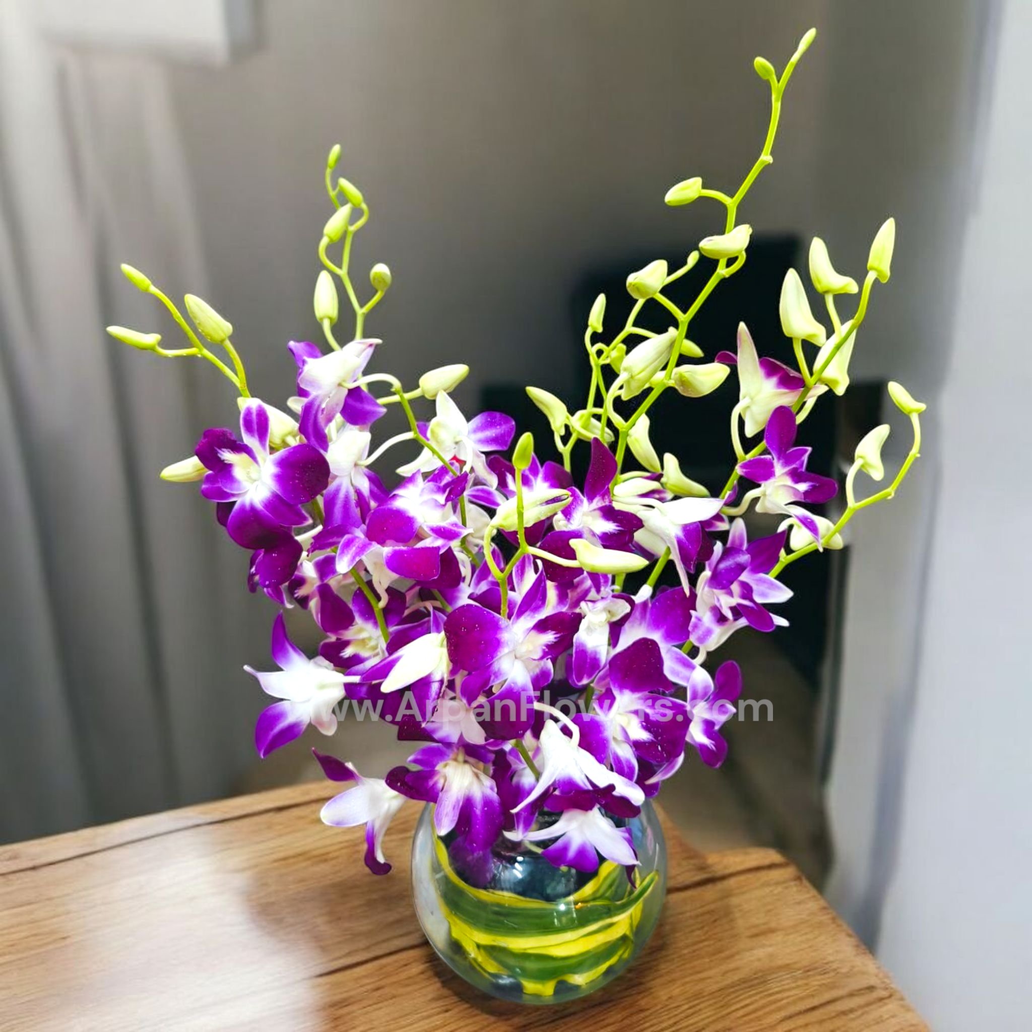 Purple Orchid in Glass Bouls 1 Purple Orchid in Glass Bouls