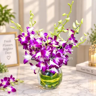 Purple Orchid in Glass Bouls