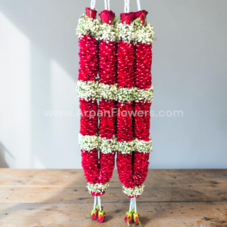 Red rose Petals and Baby's breath