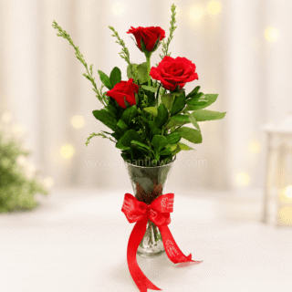 Red Rose in a Glass Pot